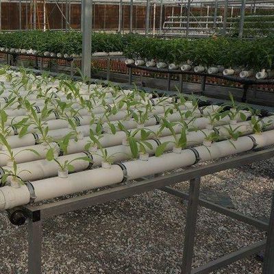 Soilless Culture Film Greenhouse Design for Vegetables and Temporary Heating Method