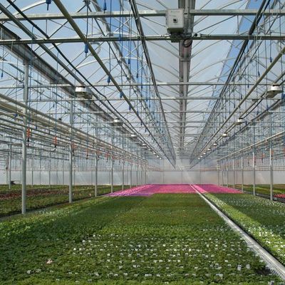 Soilless Culture Film Greenhouse Design for Vegetables and Temporary Heating Method