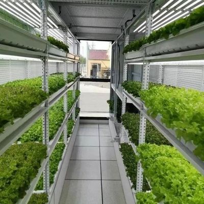Greenhouse Hydroponics Fodder Container Systems Customization for Optimal Performance
