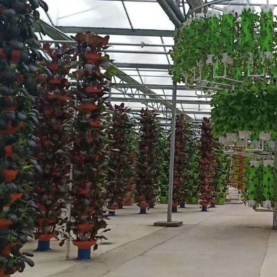 Economical Department Plastic Greenhouse With Hydroponics And Temporary Heating