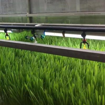 Indoor Hydroponics Commercial Microgreen Growing System with JX-Container-Greenhouse