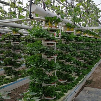 Roofing Shape Arched Roof Multi-Span Greenhouse for Temperature Controlled Hydroponics