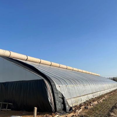 Arched Roof Aquaculture Vegetable Film Sunlight Greenhouse for US Strawberry Flower