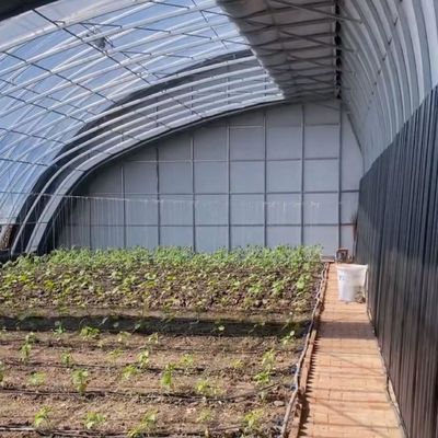 Arched Roof Aquaculture Vegetable Film Sunlight Greenhouse for US Strawberry Flower