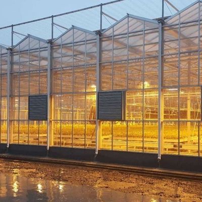 Lighting System for Container Greenhouses Package Gross Weight 2000.000kg Currency US