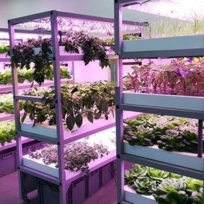 Lighting System for Container Greenhouses Package Gross Weight 2000.000kg Currency US