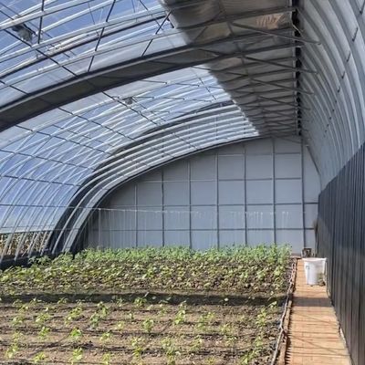 Customizable Vegetable Film Hydroponics Greenhouse System for Multi-Span Efficiency