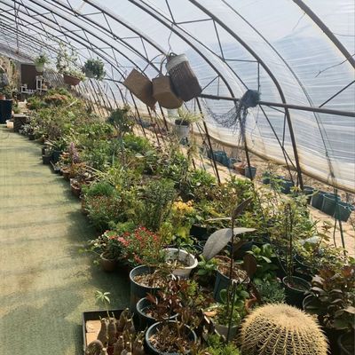 Steel Structure Flower Planting Drip Irrigation System with 30-Day Return Refunds