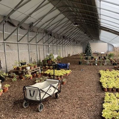 Steel Structure Flower Planting Drip Irrigation System with 30-Day Return Refunds