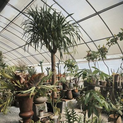 Steel Structure Flower Planting Drip Irrigation System with 30-Day Return Refunds