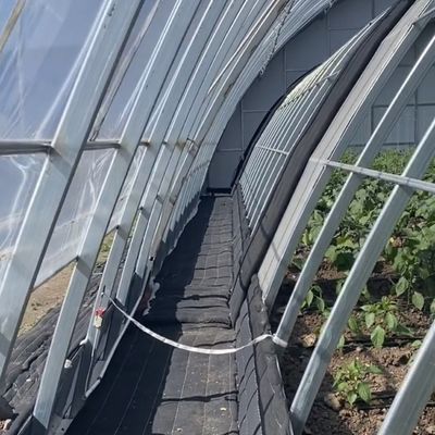 Steel Structure Flower Planting Drip Irrigation System with 30-Day Return Refunds