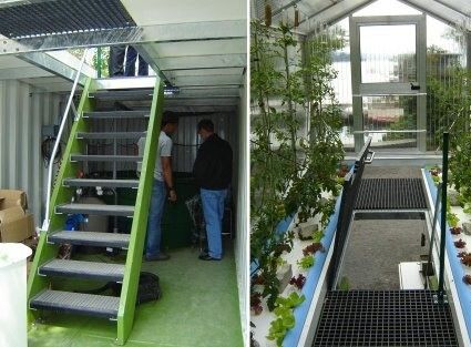 Leafy Greens Shipping Container Greenhouse with Multi Span and Shaped Roofing Shape