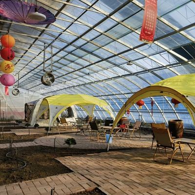 100.000kg Customization Flower Planting Drip Irrigation Vegetable Sunlight Greenhouse