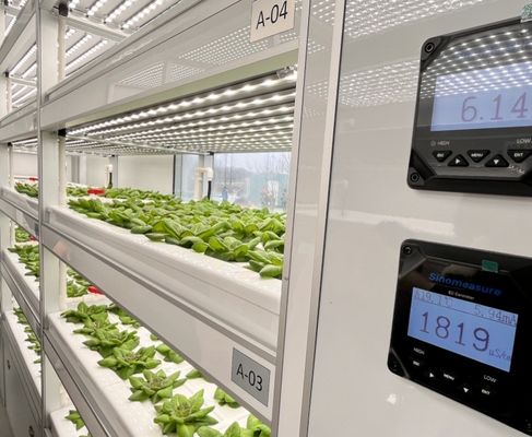 Hydroponics Cultivation Method 40hq Reefer Container for Leafy Vegetable Greenhouse