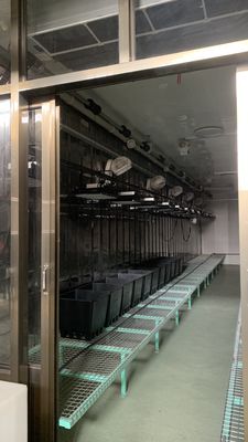 Intelligent Temperature Control Juxiang Leafy Vegetable Container House Heating Method