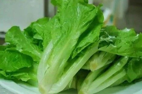 Container House for Leafy Vegetable Cultivation Hydroponics Cultivation Technology