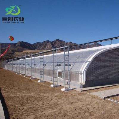 Maximize Your Produce Yield with this Large Hydroponics Vegetable Sunlight Greenhouse