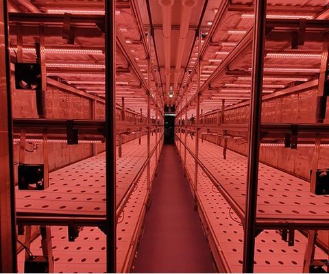 Return refunds 30-Day Guarantee for Shipping Container Leafy Vegetable Greenhouse