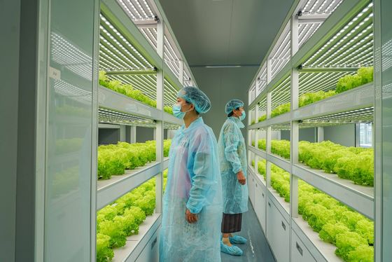Container Farming Lighting System with Estimated Delivery Time and Low Shipping Cost