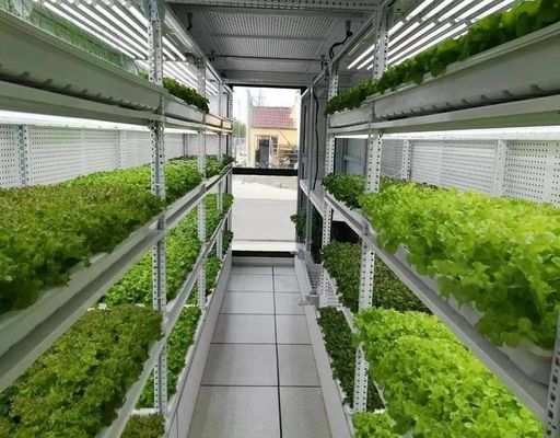 Container Farming Lighting System with Estimated Delivery Time and Low Shipping Cost