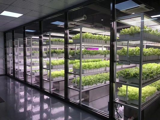 Container Farming Lighting System with Estimated Delivery Time and Low Shipping Cost