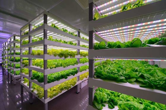 Container Farming Lighting System with Estimated Delivery Time and Low Shipping Cost
