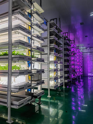 Container Farming Lighting System with Estimated Delivery Time and Low Shipping Cost
