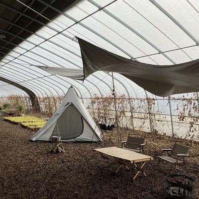 Full Payment Single Layer Hydroponics Flower Sunlight Greenhouse for Your Initial Payment