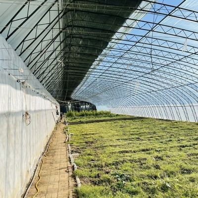 Full Payment Single Layer Hydroponics Flower Sunlight Greenhouse for Your Initial Payment