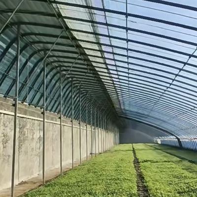 Full Payment Single Layer Hydroponics Flower Sunlight Greenhouse for Your Initial Payment