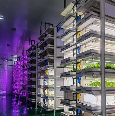 US 9.99/Piece JX-H0032 Vertical Hydroponic Shipping Container Greenhouse for Vegetables