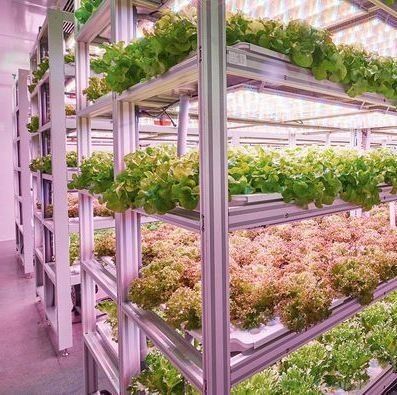 US 9.99/Piece JX-H0032 Vertical Hydroponic Shipping Container Greenhouse for Vegetables
