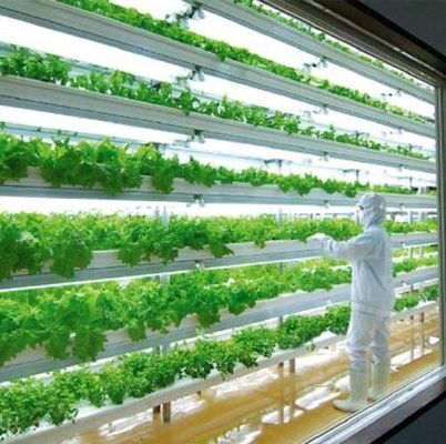 US 9.99/Piece JX-H0032 Vertical Hydroponic Shipping Container Greenhouse for Vegetables