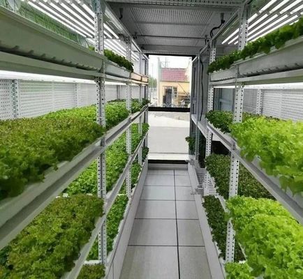 US 9.99/Piece JX-H0032 Vertical Hydroponic Shipping Container Greenhouse for Vegetables