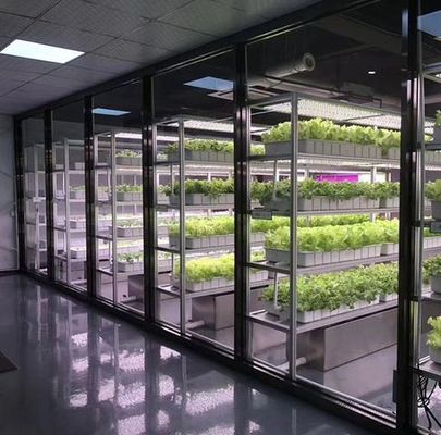 Department Shipping Container Greenhouse LED Lighting Solution for Vegetable Planting