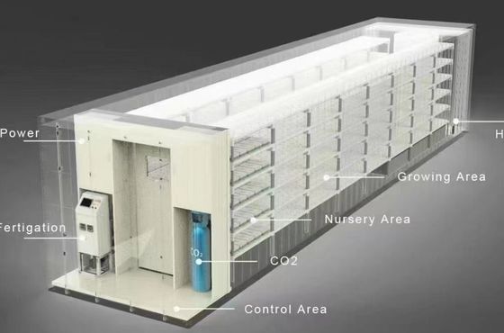 Department Shipping Container Greenhouse LED Lighting Solution for Vegetable Planting