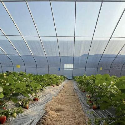 Flower Planting Sunlight Greenhouse with Steel Structure Double or Single Layer