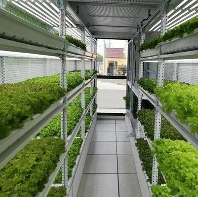 Steel Cover Material Hydroponic Vertical Farming Container System for Shaped Roof