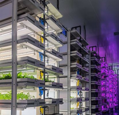 Steel Cover Material Hydroponic Vertical Farming Container System for Shaped Roof