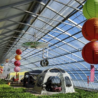US Currency Double or Single Layer Vegetable Sunlight Greenhouse System within Budget