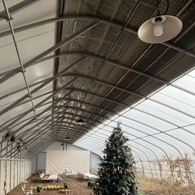 US Currency Double or Single Layer Vegetable Sunlight Greenhouse System within Budget