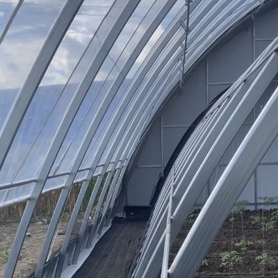 US Currency Double or Single Layer Vegetable Sunlight Greenhouse System within Budget
