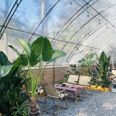 Flower Planting Drip Irrigation System Sunlight Greenhouse with Customized Request