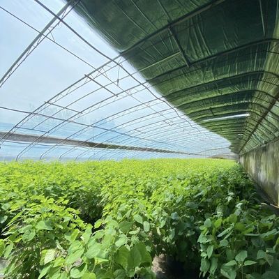 Multi-Span Hydroponics Greenhouse Sunlight-Driven Growth Shipping Cost and Delivery Time