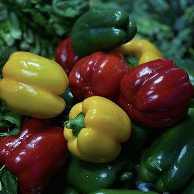Multi-Span Hydroponics Greenhouse Sunlight-Driven Growth Shipping Cost and Delivery Time