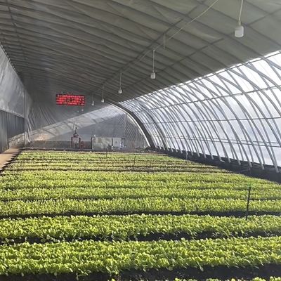 Sparay Irrigation Seeding Sunlight Greenhouse US 20/Square Meter with Customization