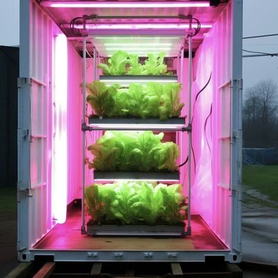 Intelligent Temperature Control Container Greenhouse for JX-A0096 Soilless Cultivation