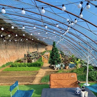 Sunlight Greenhouse for Origin Flower Planting Package Size 50.00cm * 60.00cm * 50.00cm