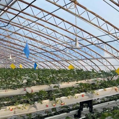 Shipping Cost and Estimated Delivery Time for Commercial Hydroponic Seeding Greenhouse