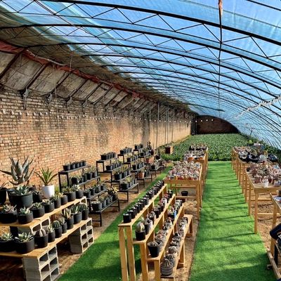 30 Days Return refunds Origin Sparay Irrigation Greenhouse for Customer Satisfaction